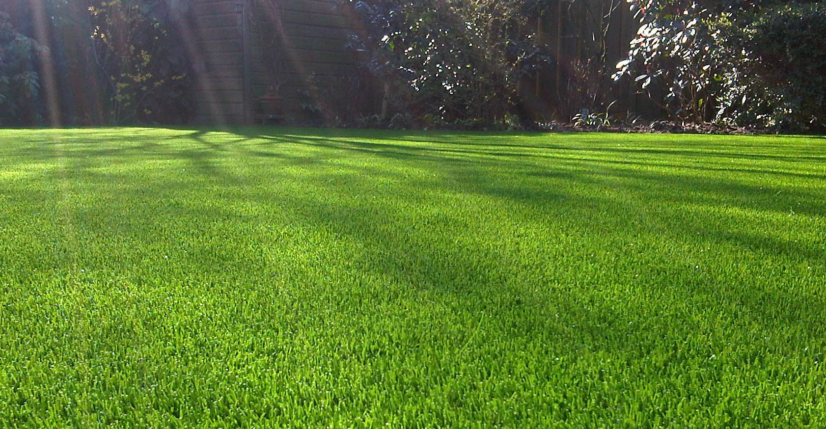 benefits-of-artificial-grass.jpg