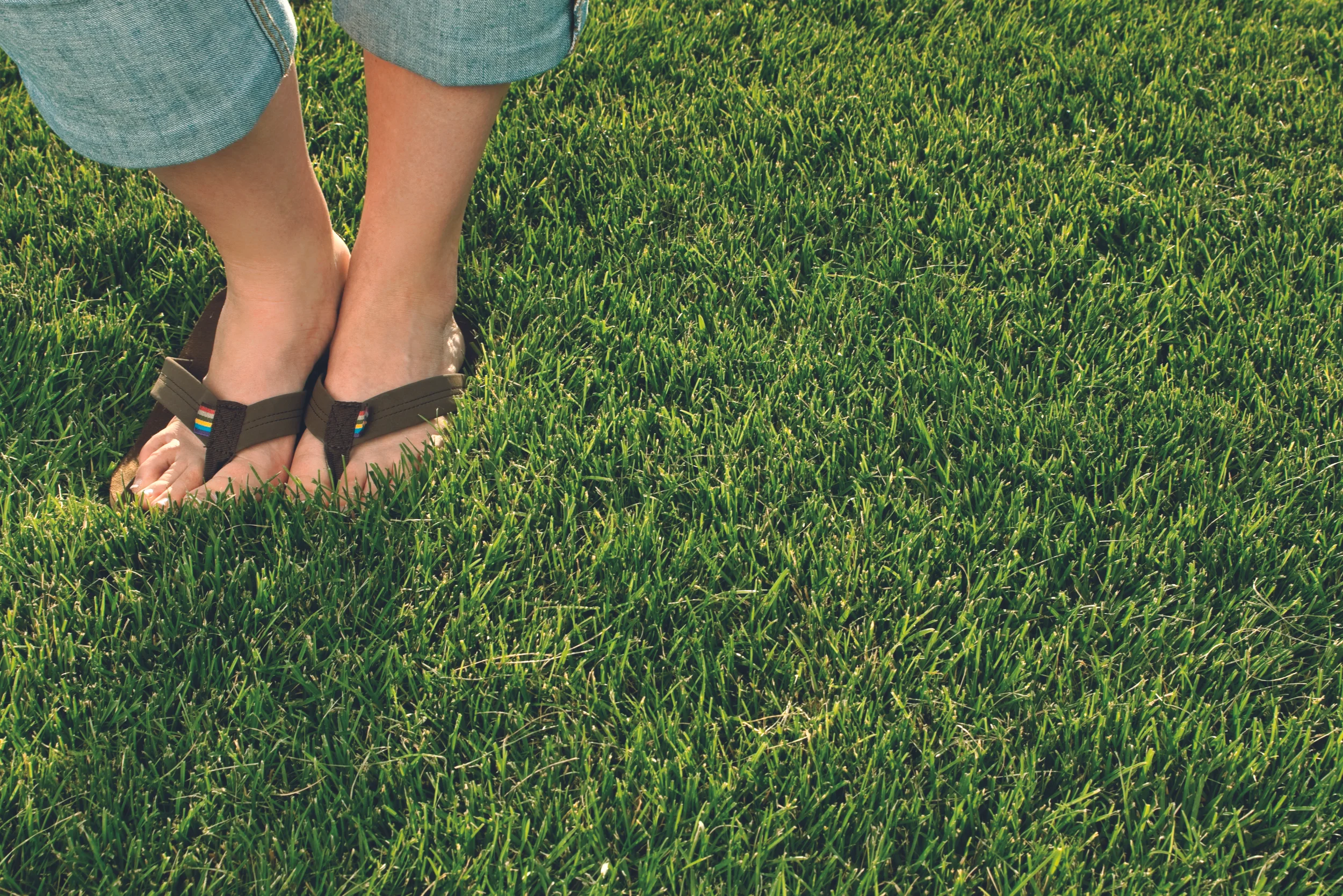 feet-in-grass.jpg