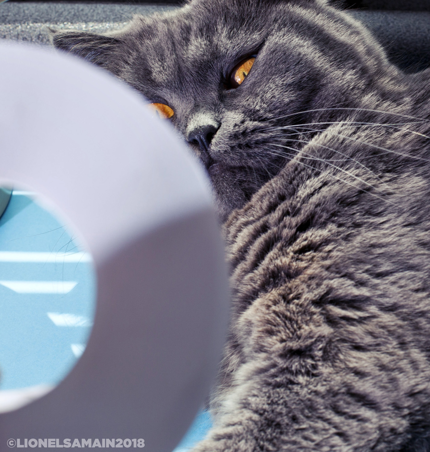 Mr Spock, quality control agent.