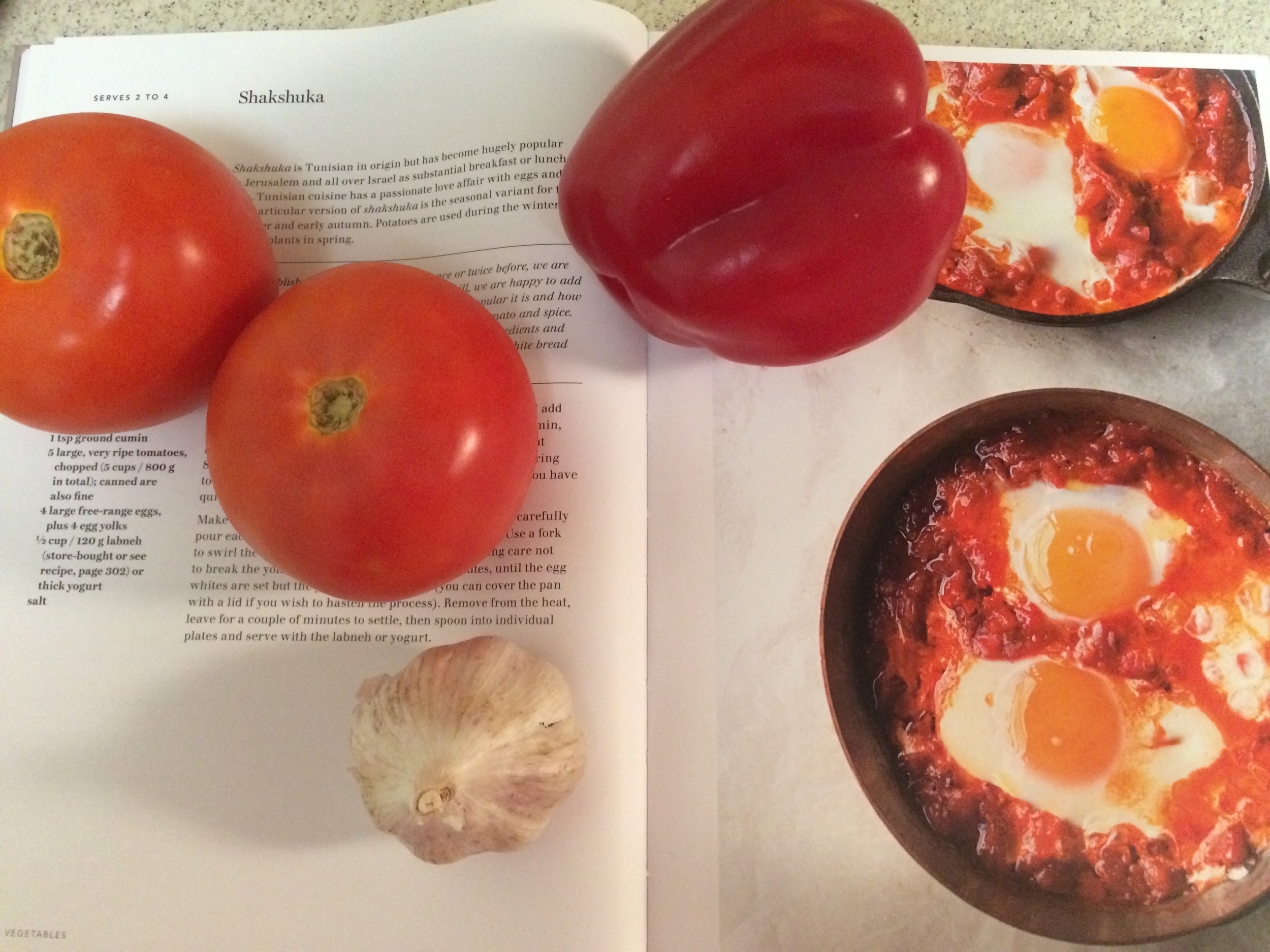 Three of my favorite things: Tomato, bell pepper, and garlic