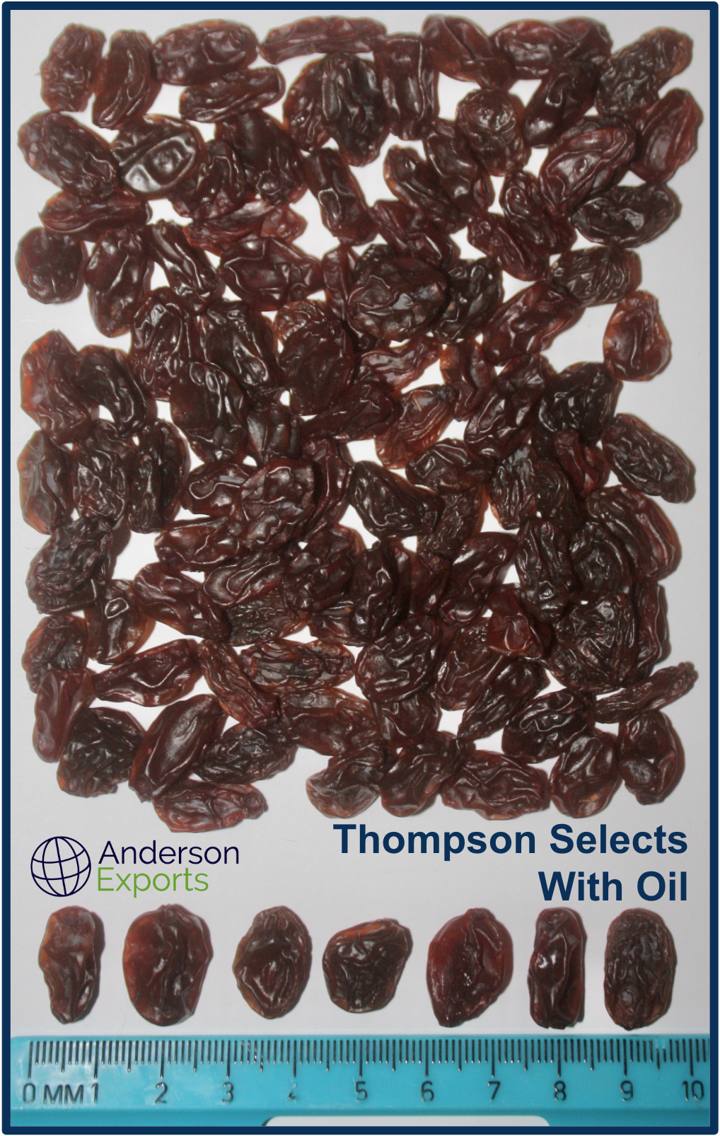 Natural Thompson Seedless (NTS) Raisins — Anderson Exports USA