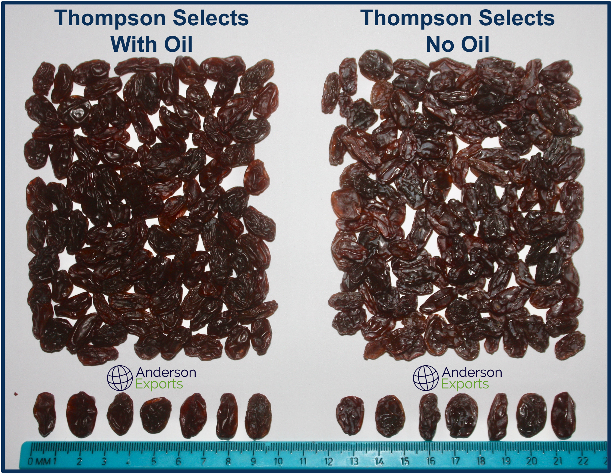 Anderson Exports - NTS Selects - Summary (No Oil & Oil).png