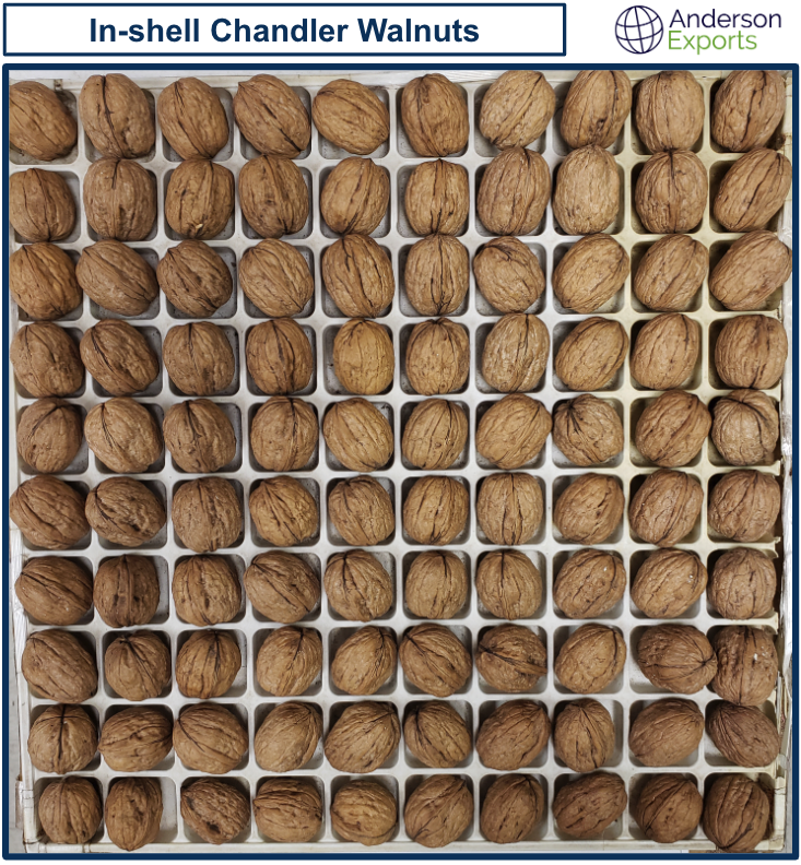 In-Shell Chandler Walnuts.png
