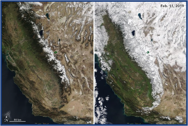 California Nuts & Dried Fruit.png