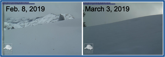 Califorina Almonds.png