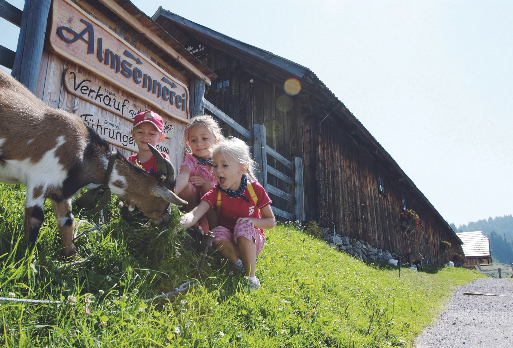 Almerlebnis_Almsennerei _Archiv MTG©steve.haider.com.JPG