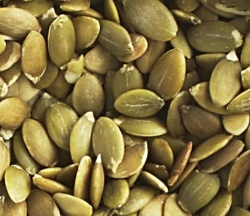Pepitas.jpg