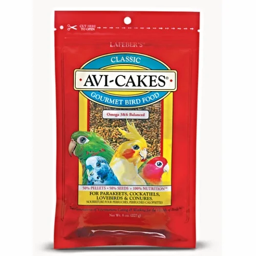 avi-cakes-parakeet.jpg