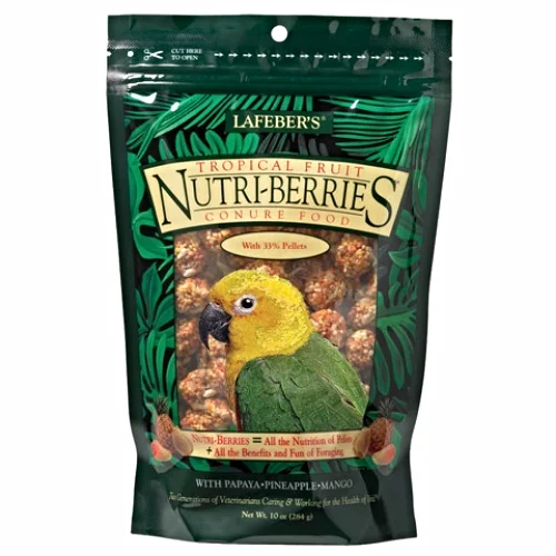 NB-Tropical-Fruit-conure.jpg