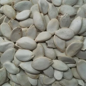 Pumpkin+Seeds.jpg