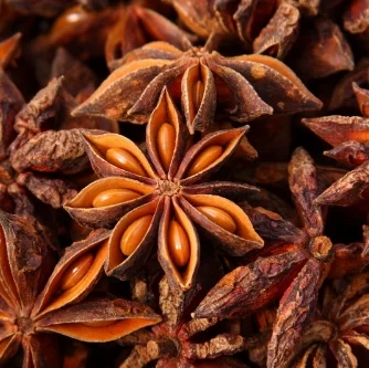 star-anise.jpg