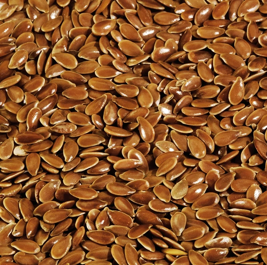 Flax Seed 12 oz — Varietees Bird Store