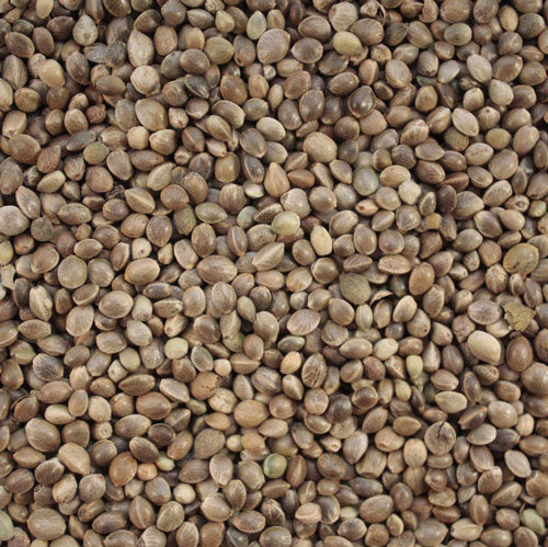 hemp-seeds.jpg