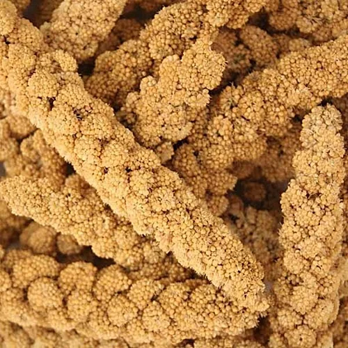 millet_sprays.jpg