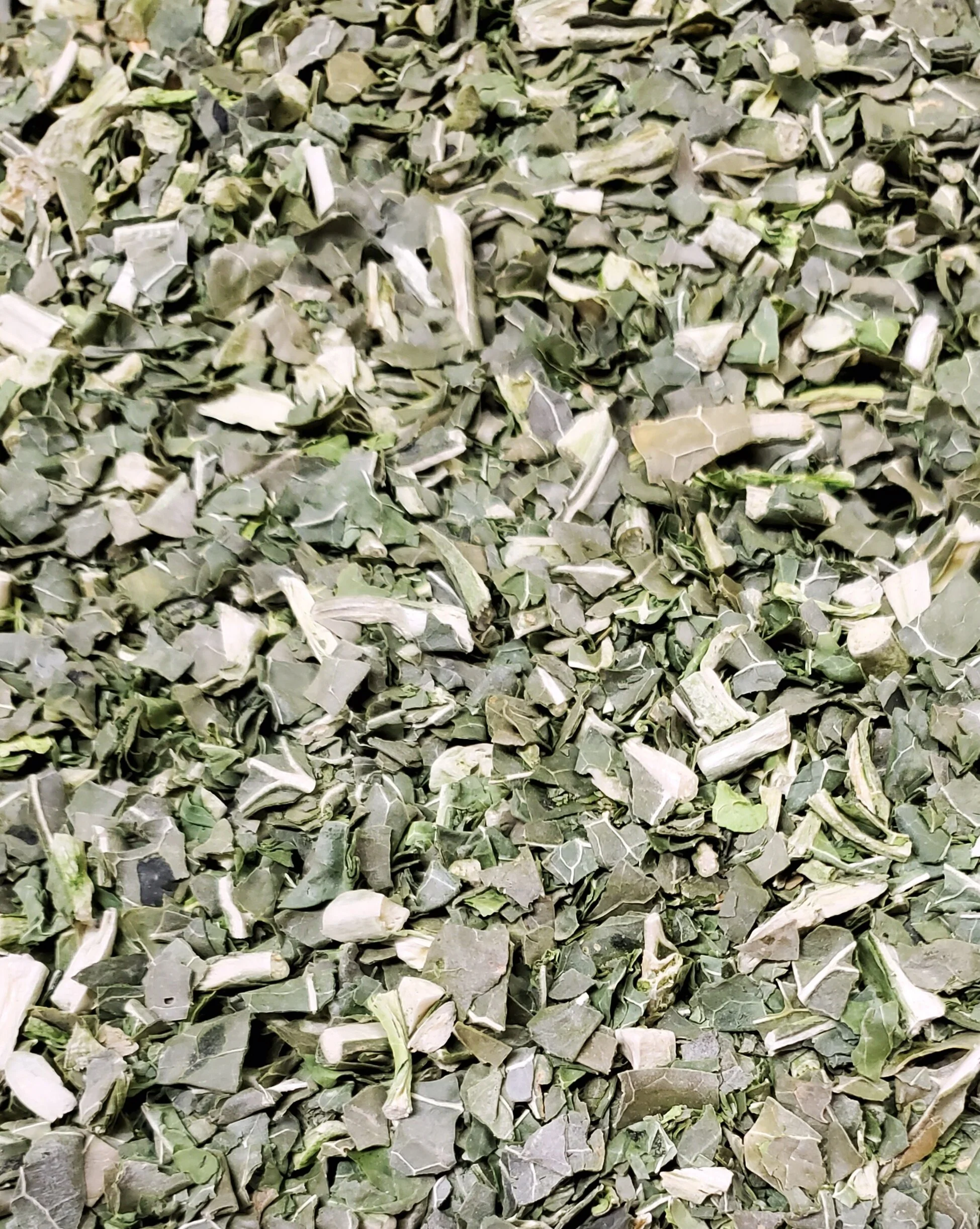 Frz Drd Kale Pic.jpg