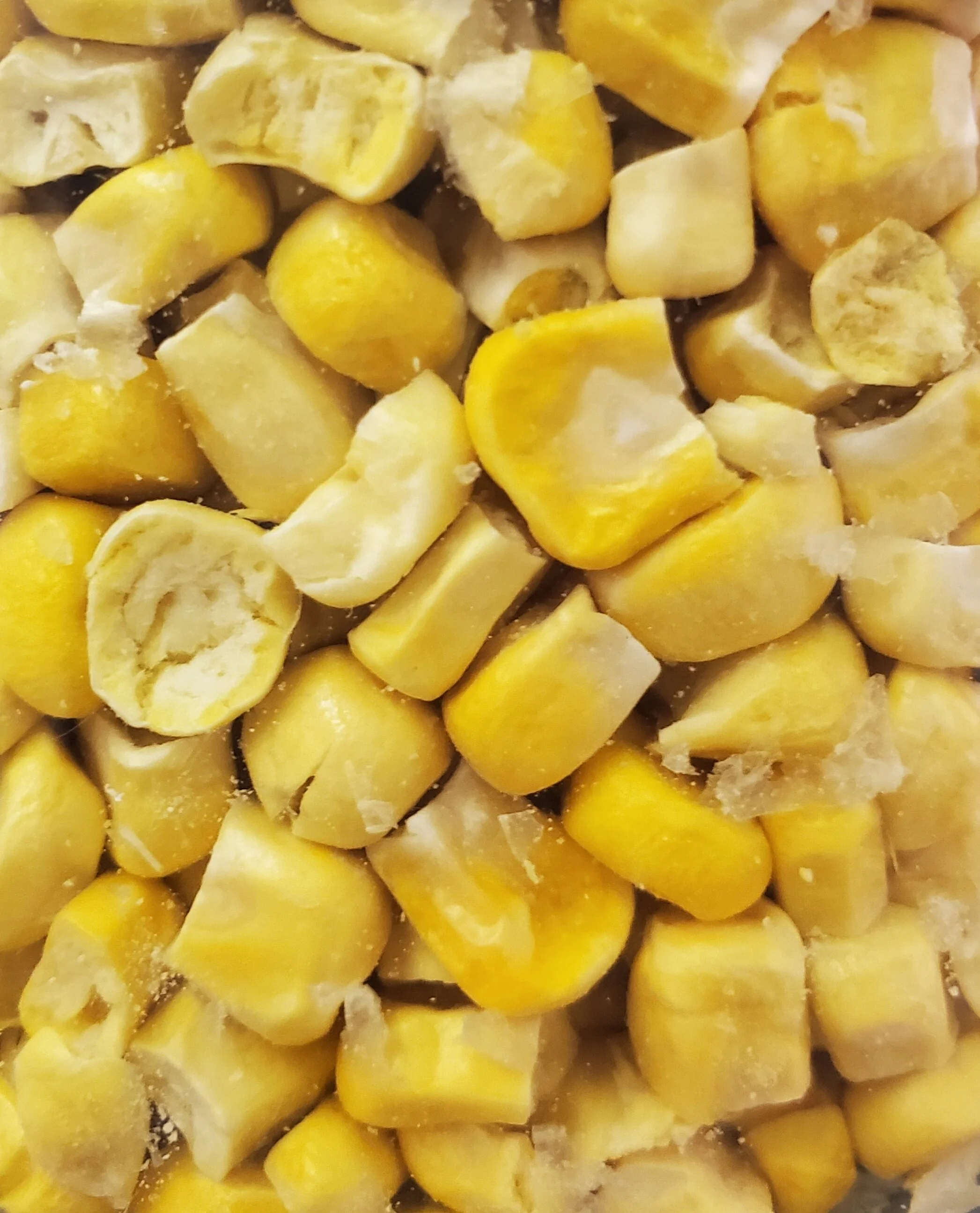 frz drd corn pic.jpg