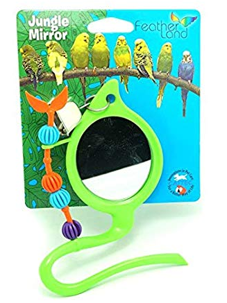 CAI 00900 Jngl Mrrr.PNG