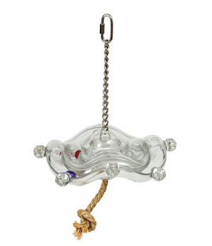 CAI 24300 Slly Scr.PNG