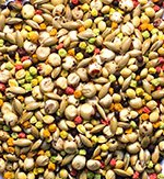 ZUP Snsbl seed sm.PNG