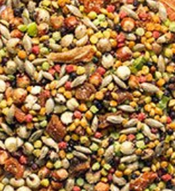 Zup Pr Fn Sm Pic.PNG