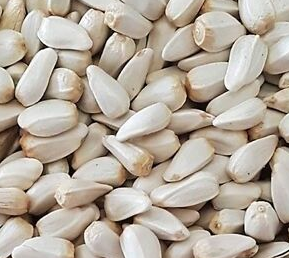 Safflower Seeds BLK.PNG