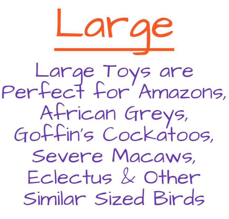 Large Toys Web.PNG