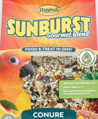 Hggns Snbrst Conure 25.PNG