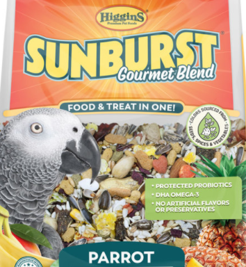 Higgin's Sunburst Parrot — Varietees Bird Store