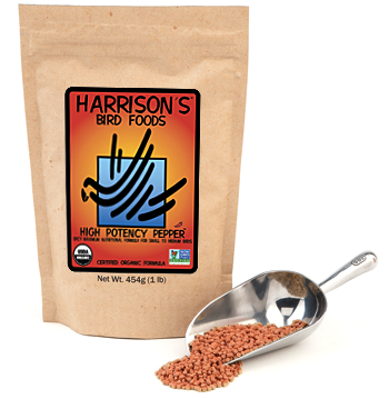 Hrrsns Hgh Pot Pppr.PNG