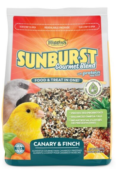 sunburst canary&finch.jpg