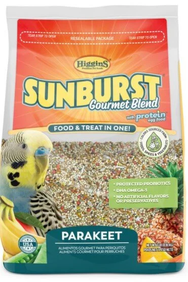 sunburst parakeet.jpg