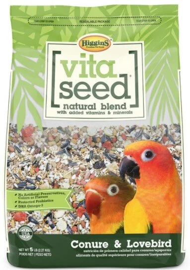 vita conure lovebird.jpg