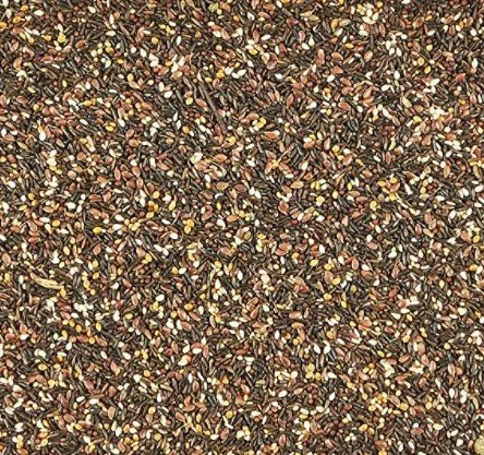 kt songbird seed.jpg