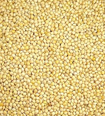 White Millet.png