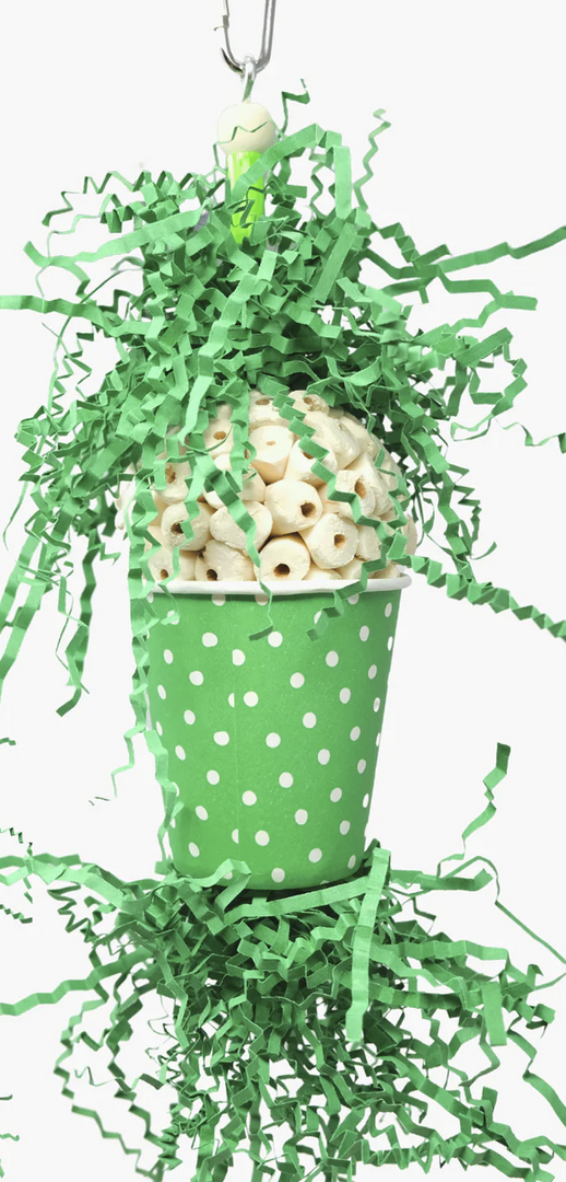 Spotty Sola.png