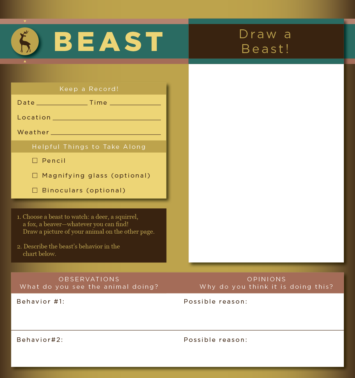 Guide Book Beast Activity Spread