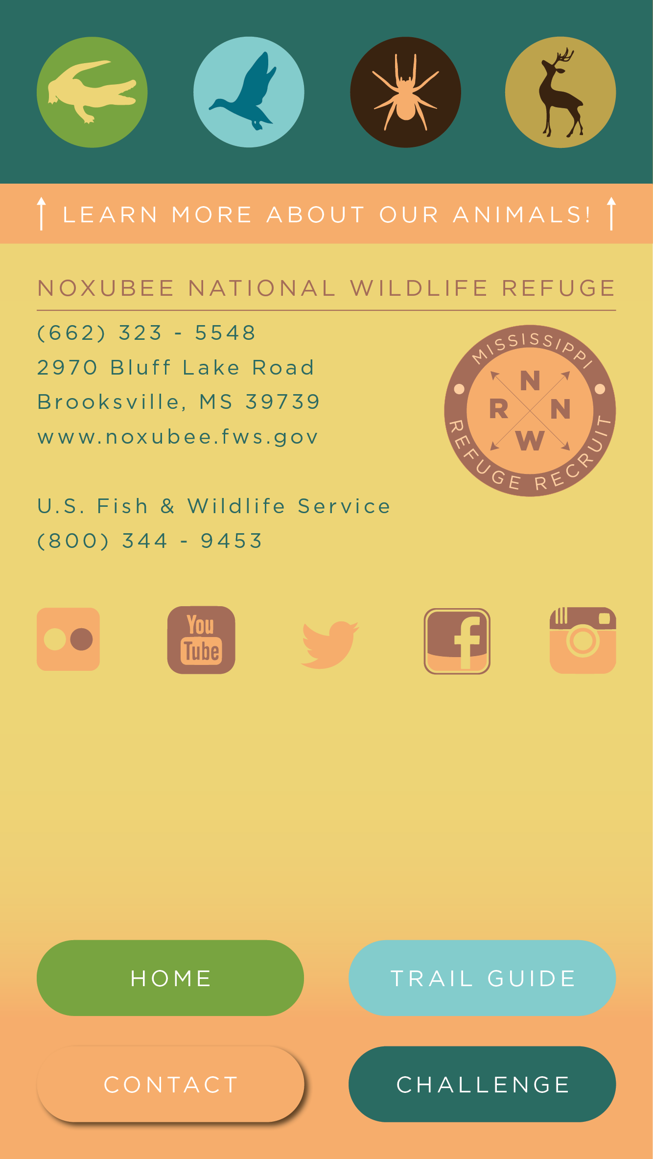 Mobile App Contact Page