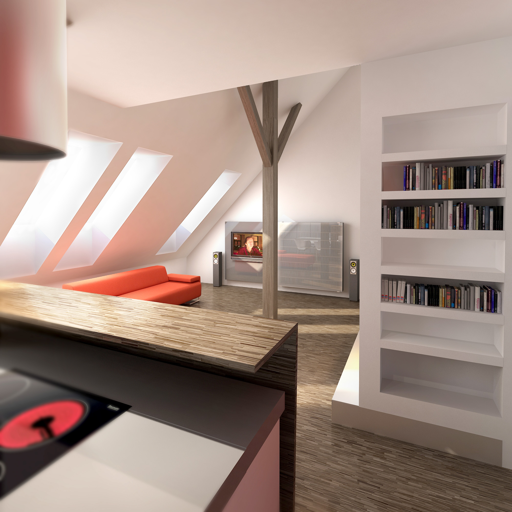 110602_podkrovi_cam03 VAR-2.jpg