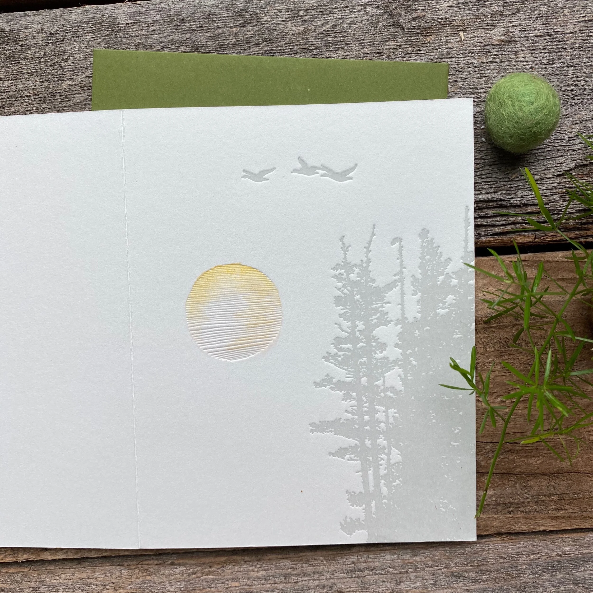 153CCAEC-75E5-4CED-881D-CFC56196A196