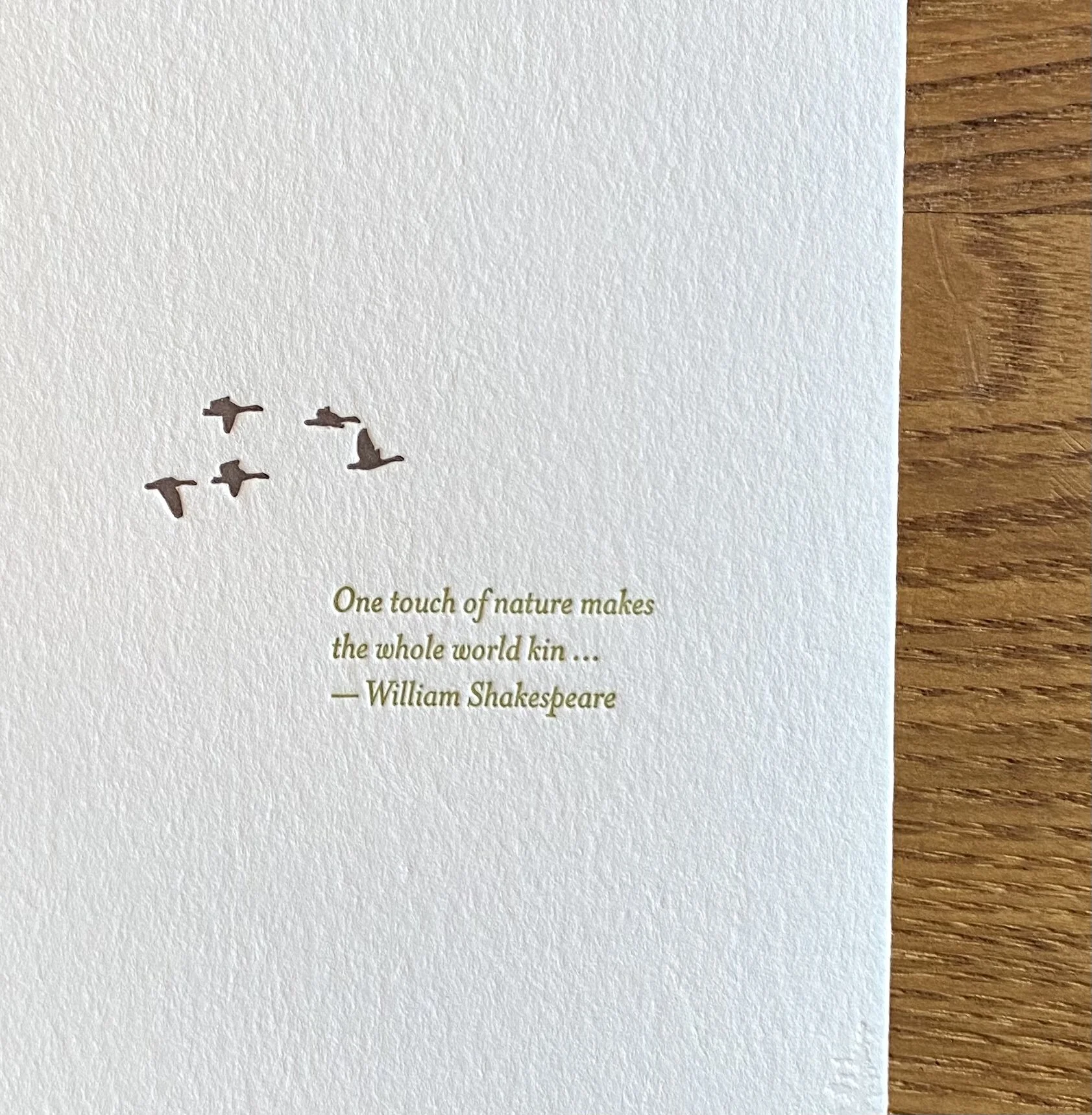 C075B9DA-CC6E-40E1-B7DD-AF6A46AACAA3