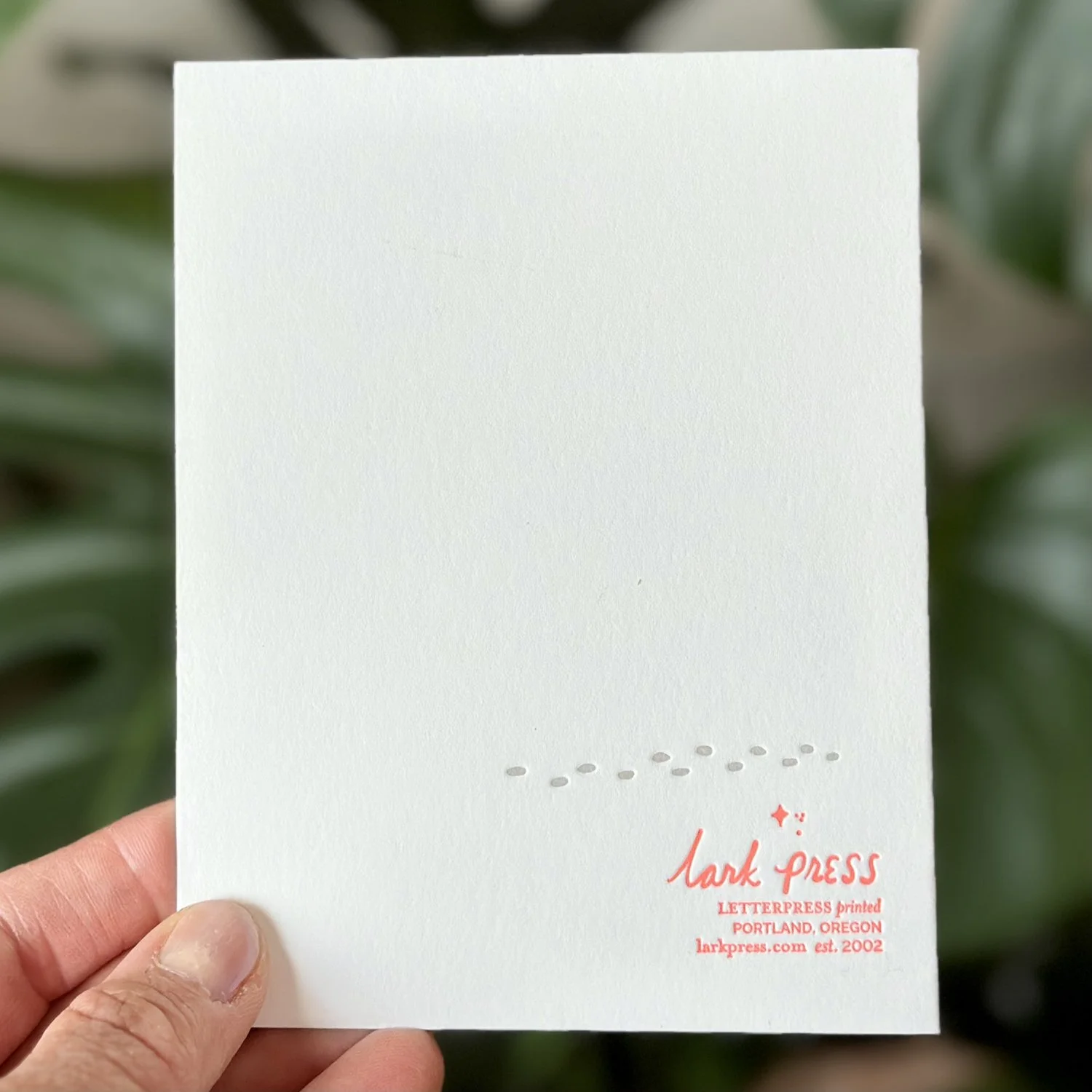 4424-Back-PHOTO-snowglobe copy.jpg