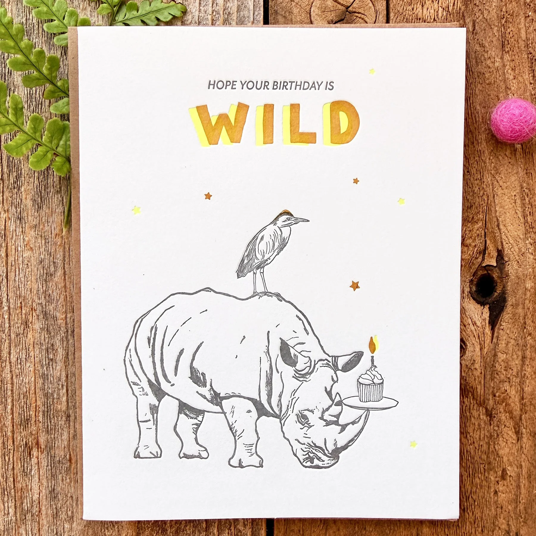8126-Rhino-pohoto.jpg