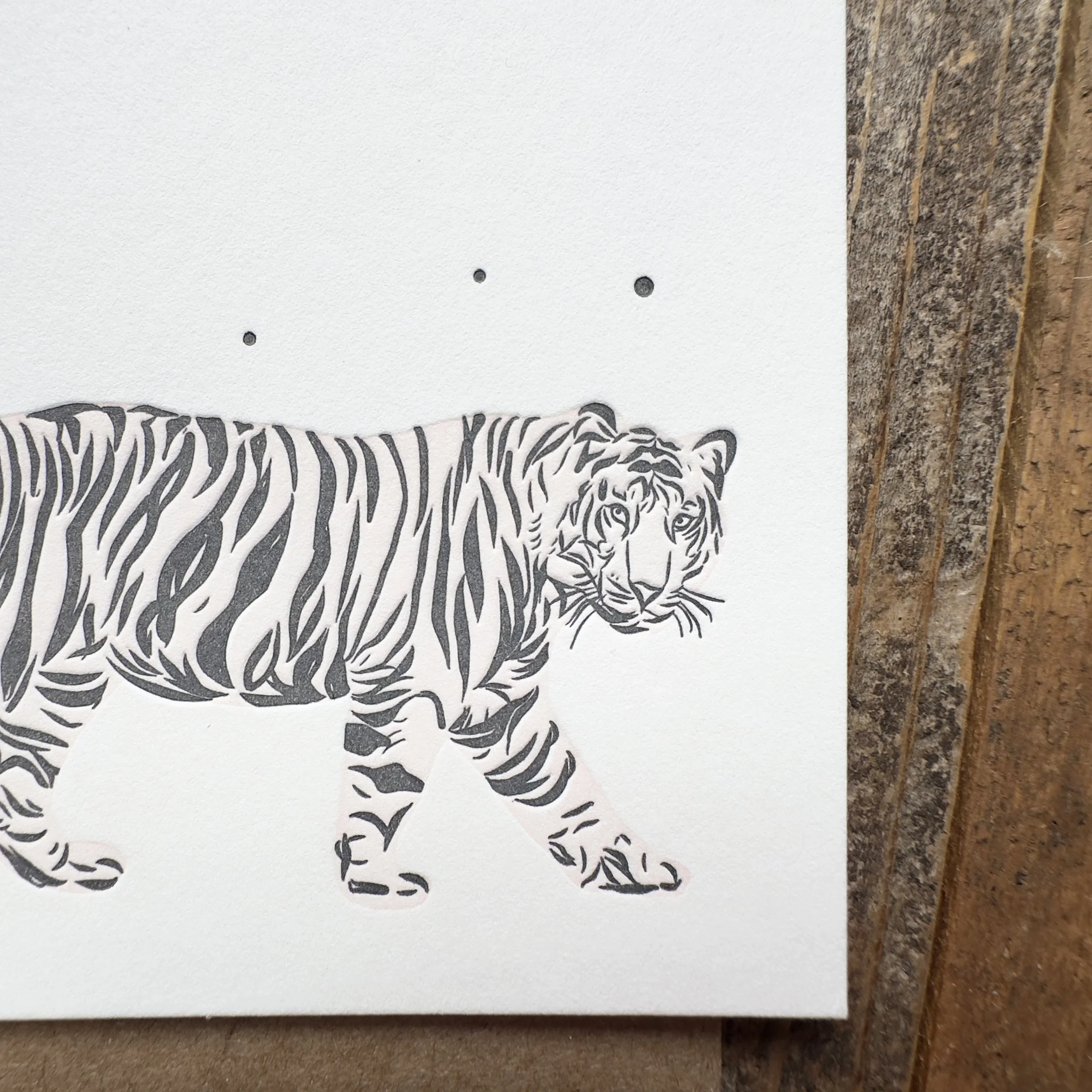 tiger-close.jpg