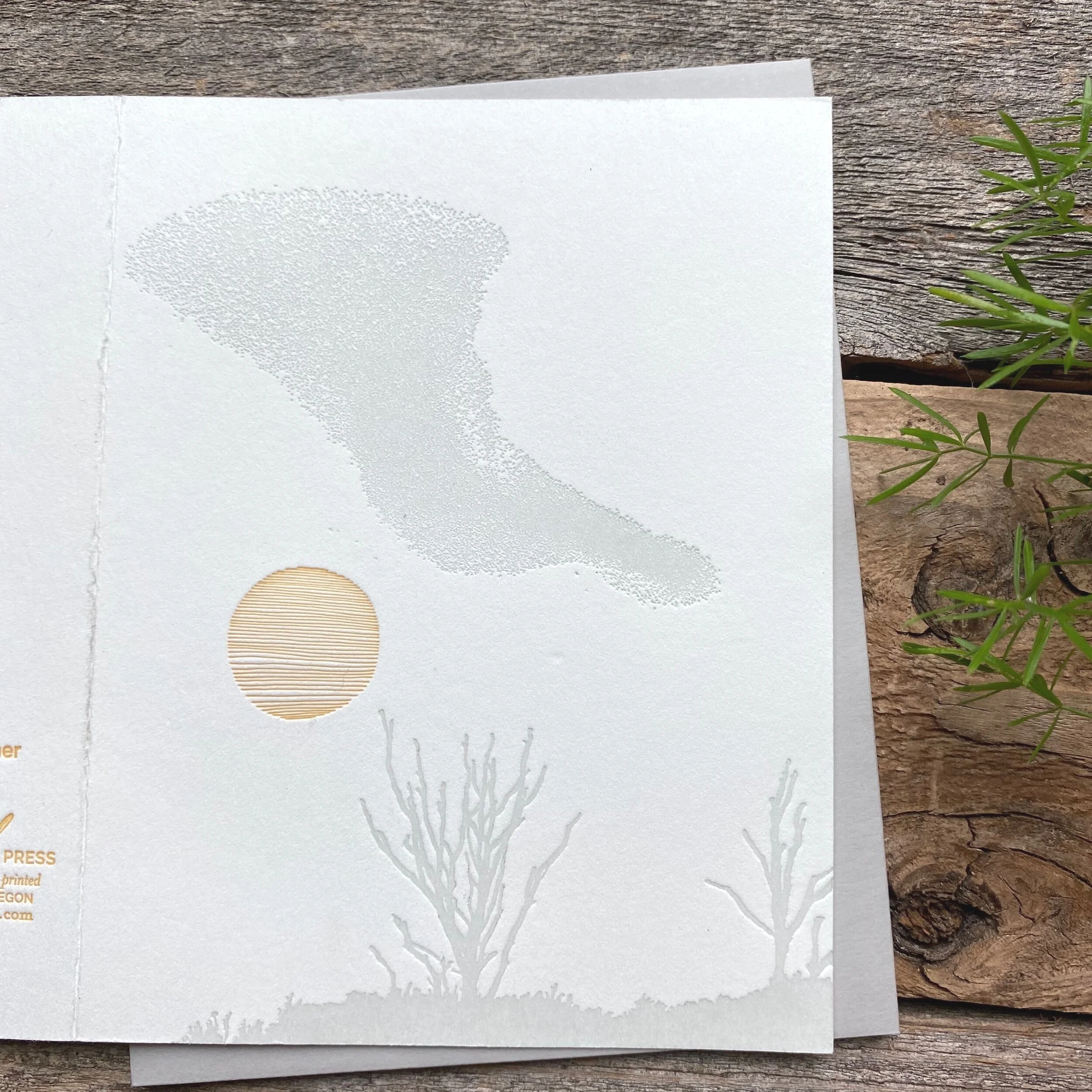 9448BD5C-13BE-44FE-806A-E8F27816ED53