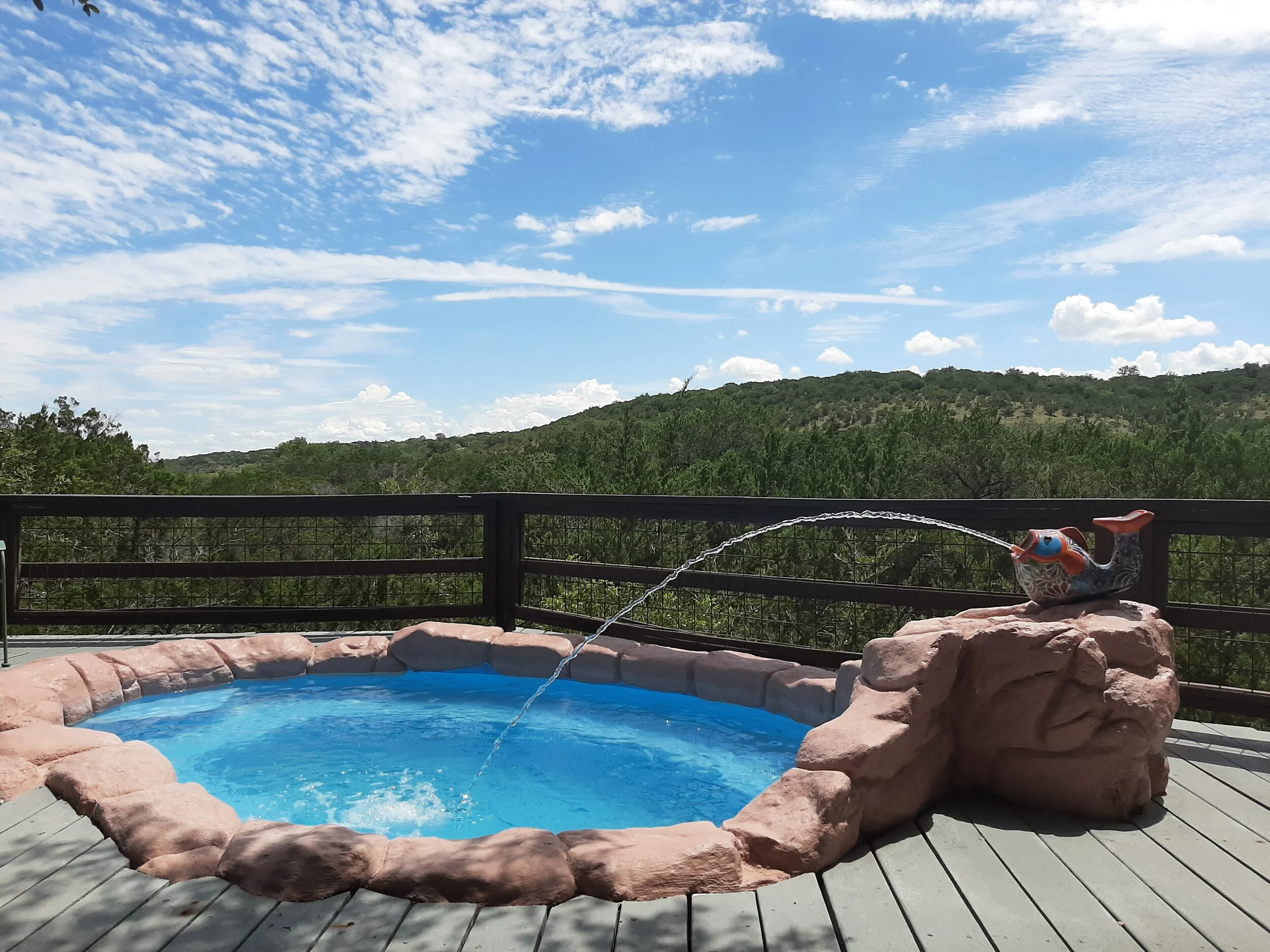 20190905_134321.jpg