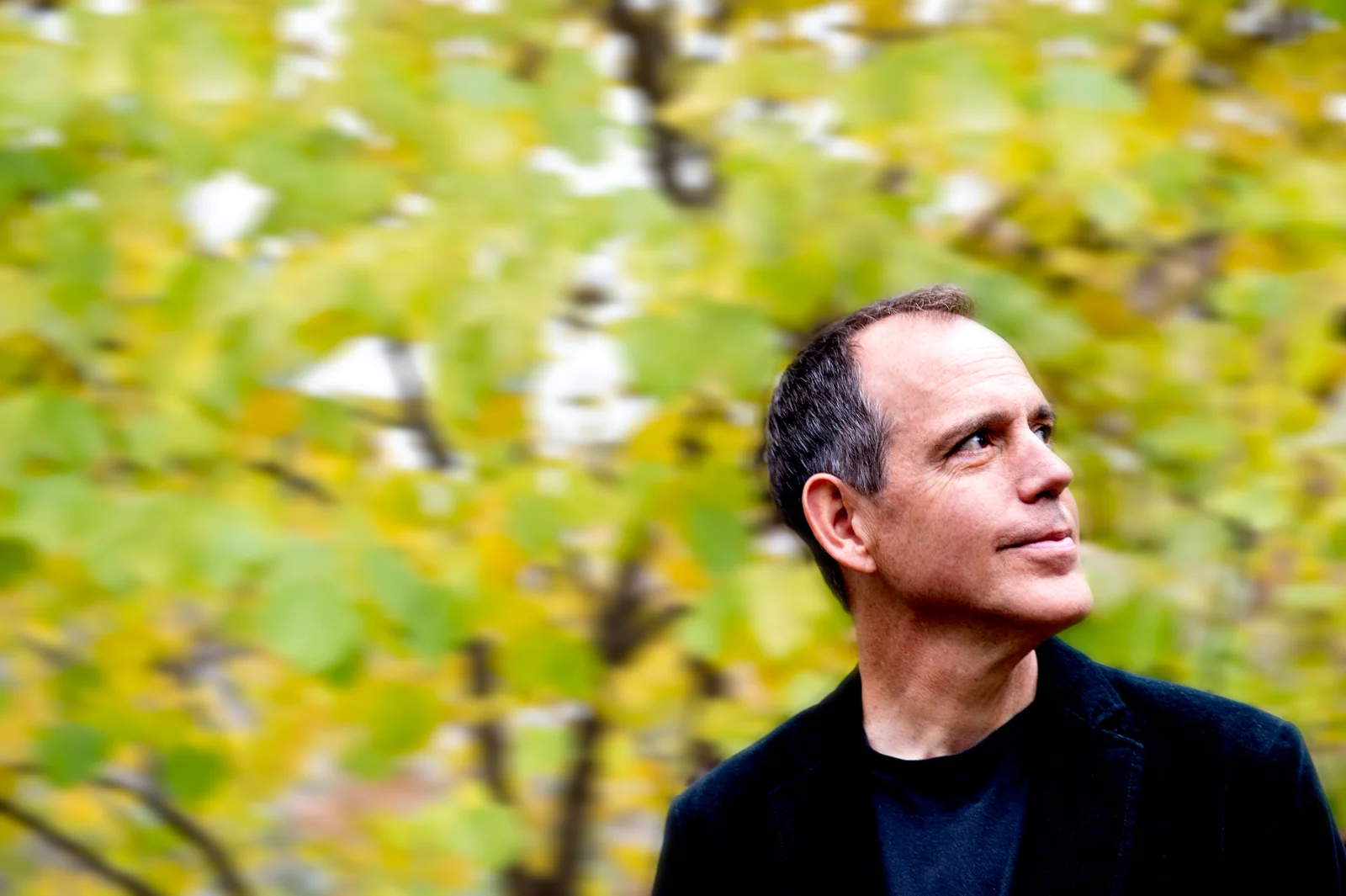 David Wilcox