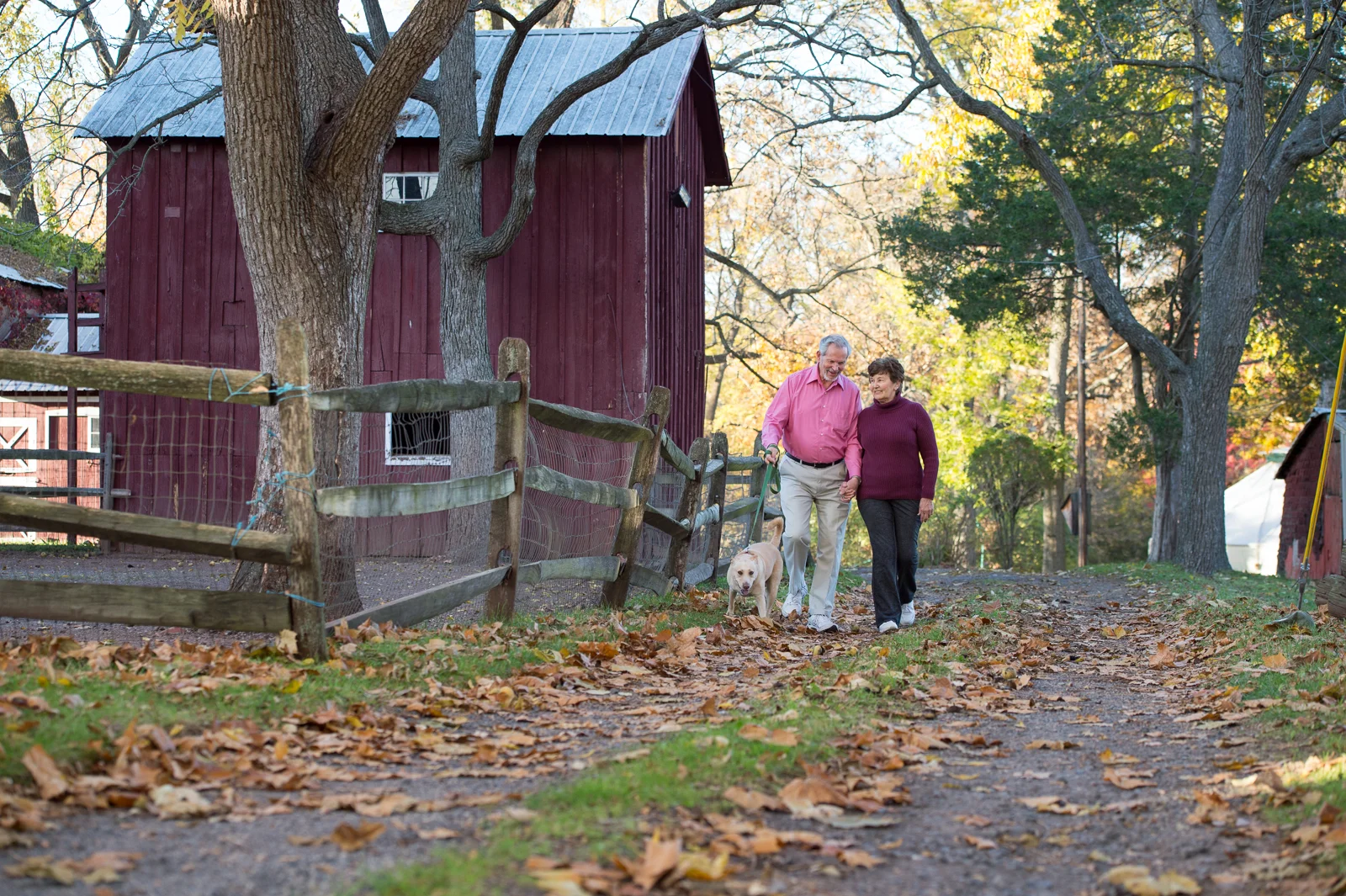 ShannondellFall2015_-88.jpg