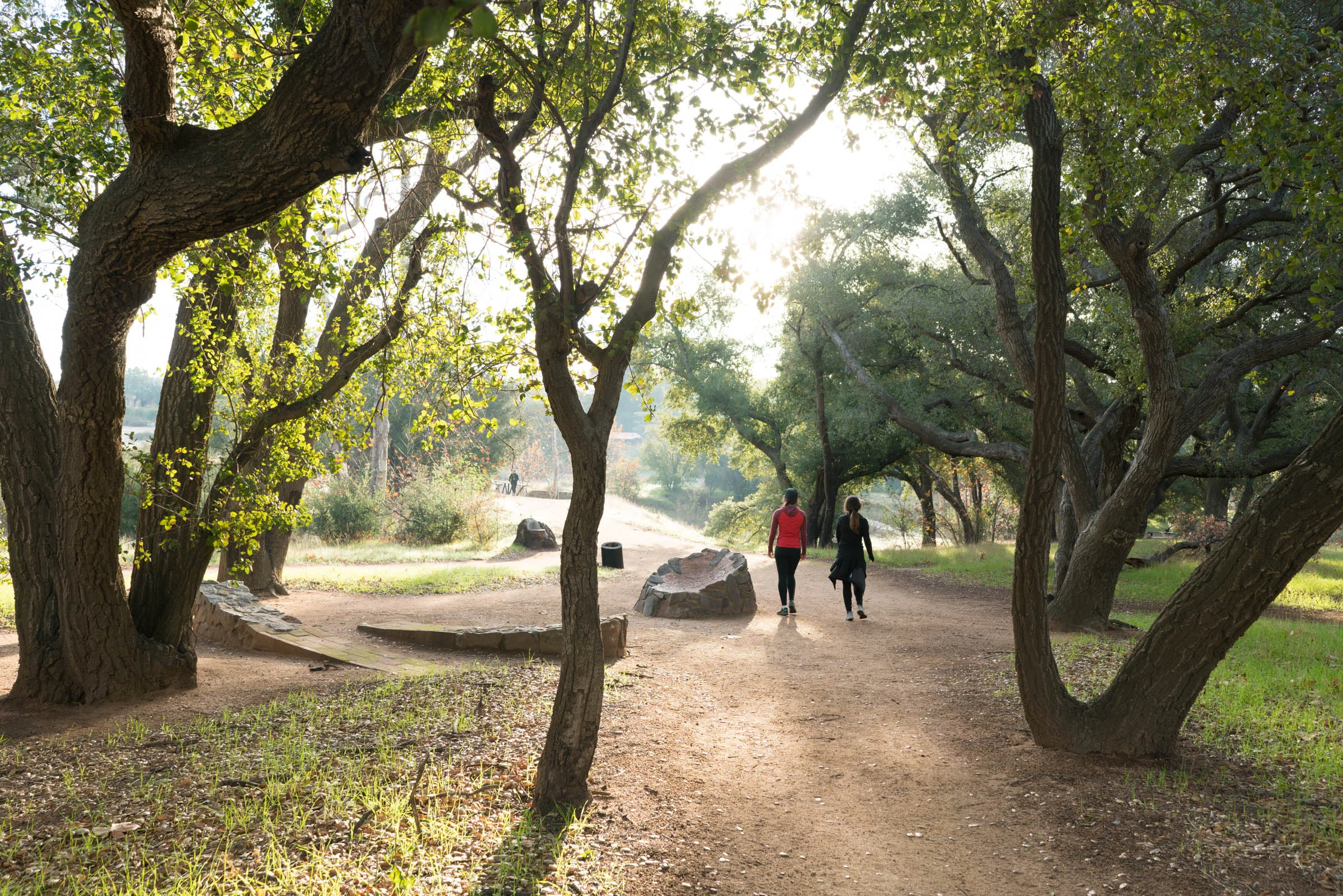 HikingTrails93.jpg