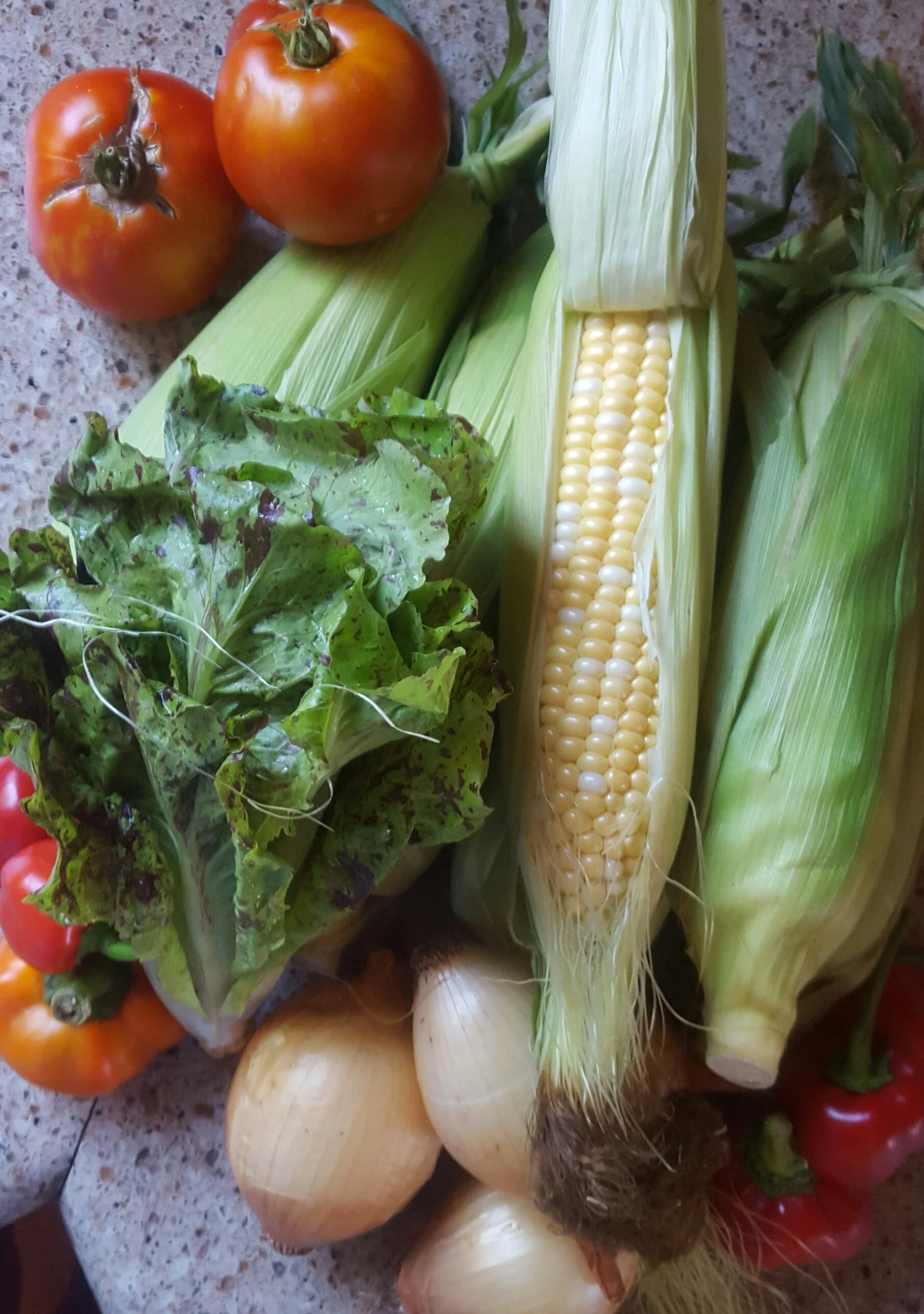 20150804_172504-1.jpg