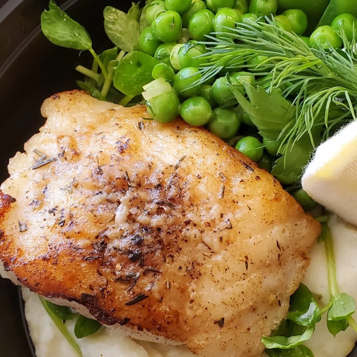 for the "halibut" friday20aug